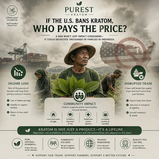 Infographic showing Indonesian kratom farmers facing economic uncertainty, with icons for income loss, community impact, and global trade disruption