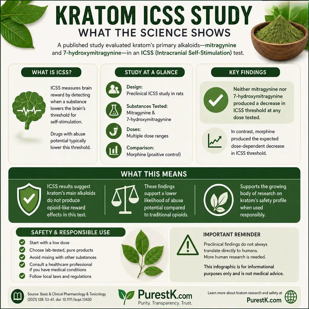 Infographic summarizing ICSS study showing kratom alkaloids’ low reward effects and safety insights.